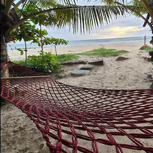 https://villa-havana-beach.hotels-alappuzha.com